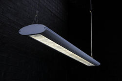 Twin T5 5ft Flourri (19)