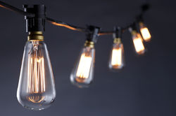 festoon with long filament bulbs