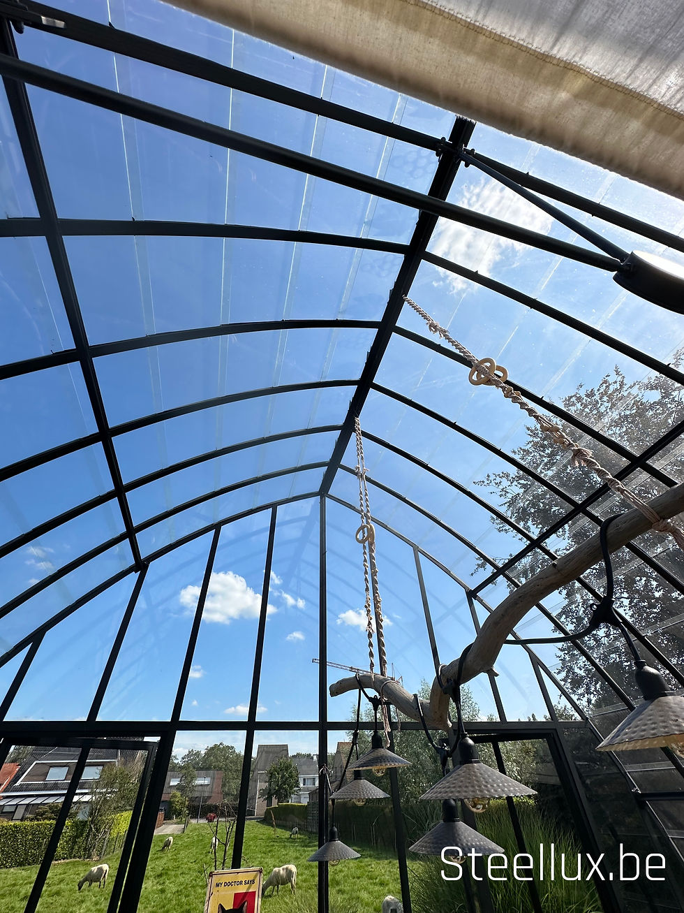 serre 6x4 gebogen (4)