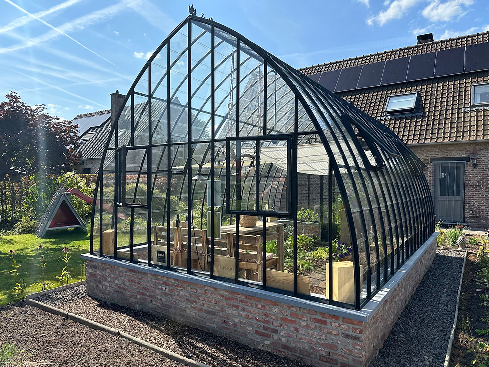 serre 6x4 gebogen (3)