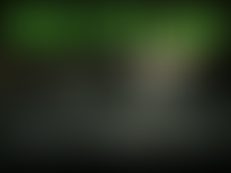 World Zombie Island: Hispaniola. What really happened in there?