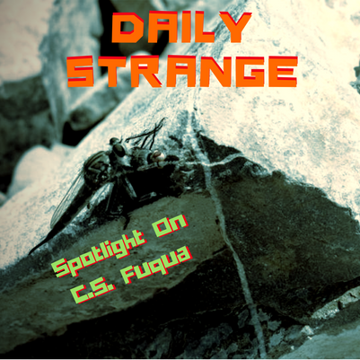 Spotlight On C.S. Fuqua