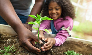 Black Kids Academy kids gardening