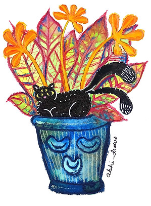 Cat Pot