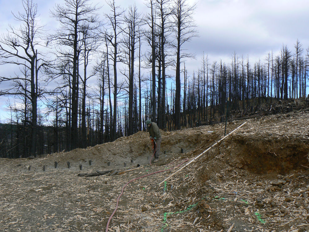 14. A man operating a hand drill, drilling holes in the ground and preparing to do a blast for a construction project, with burned pine trees in the background.