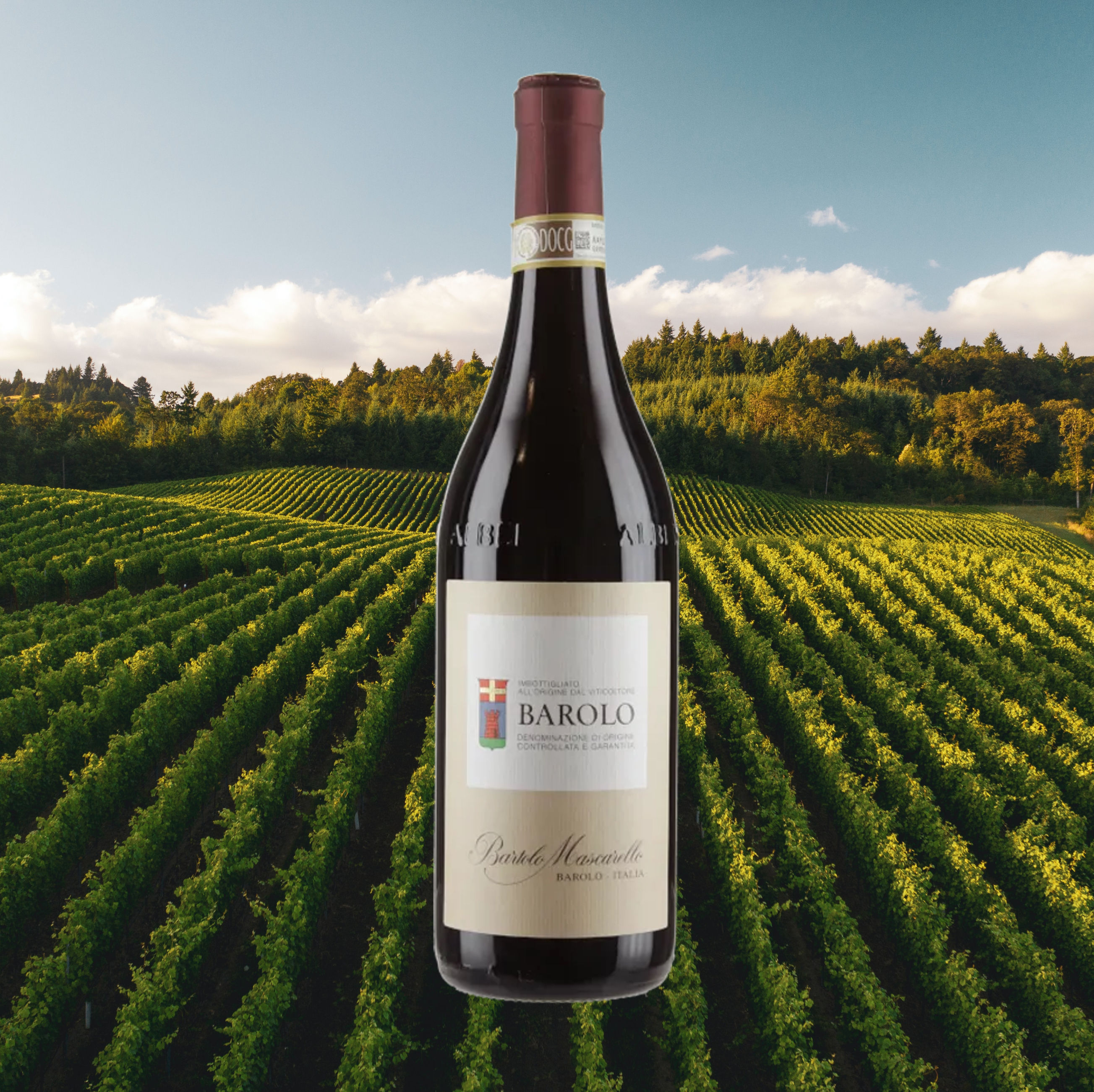 Barolo 2017 DOCG - Bartolo-Mascarello - 75cl
