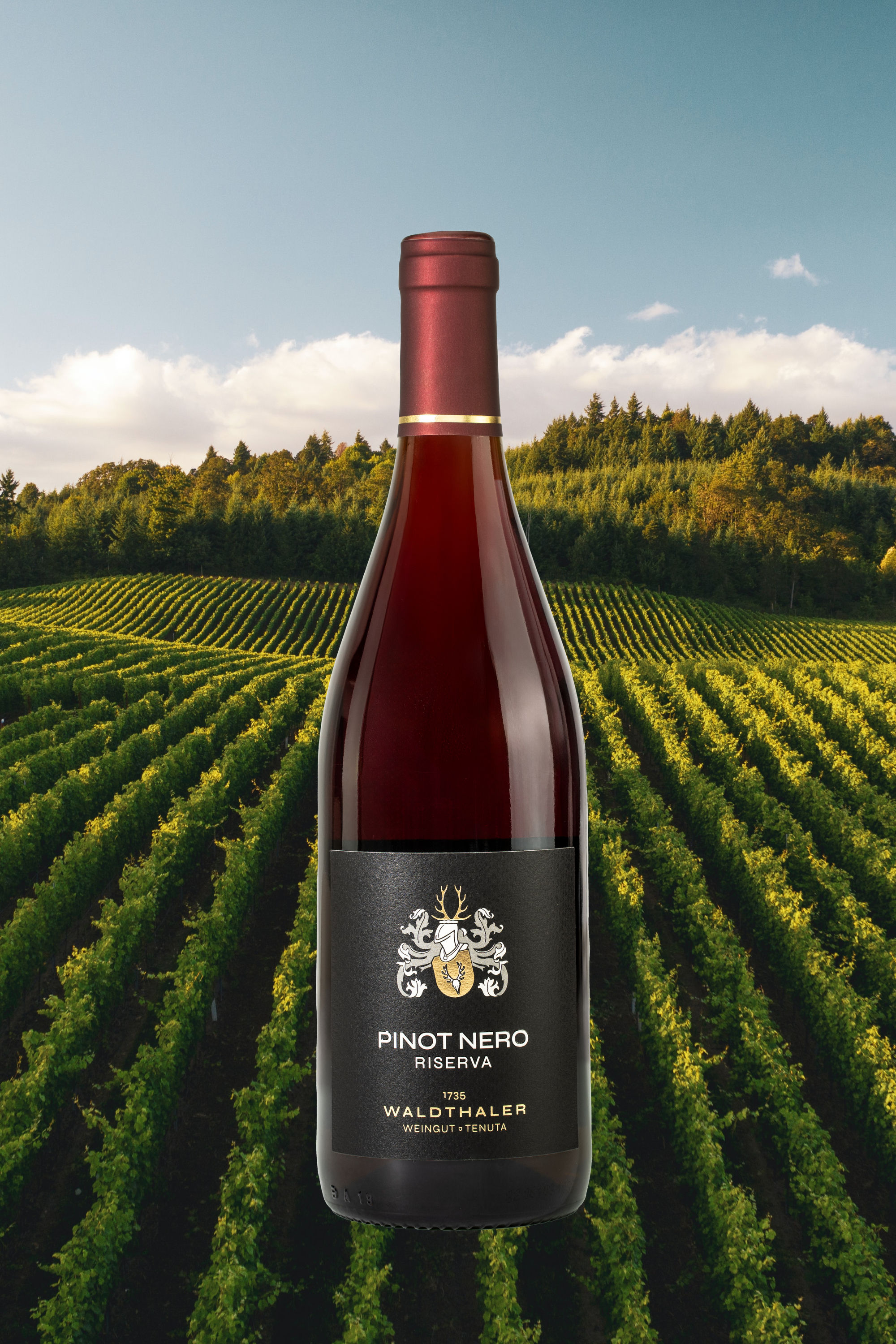 Pinot nero Riserva 2021 DOC - Weingut Waldthaler - 75cl