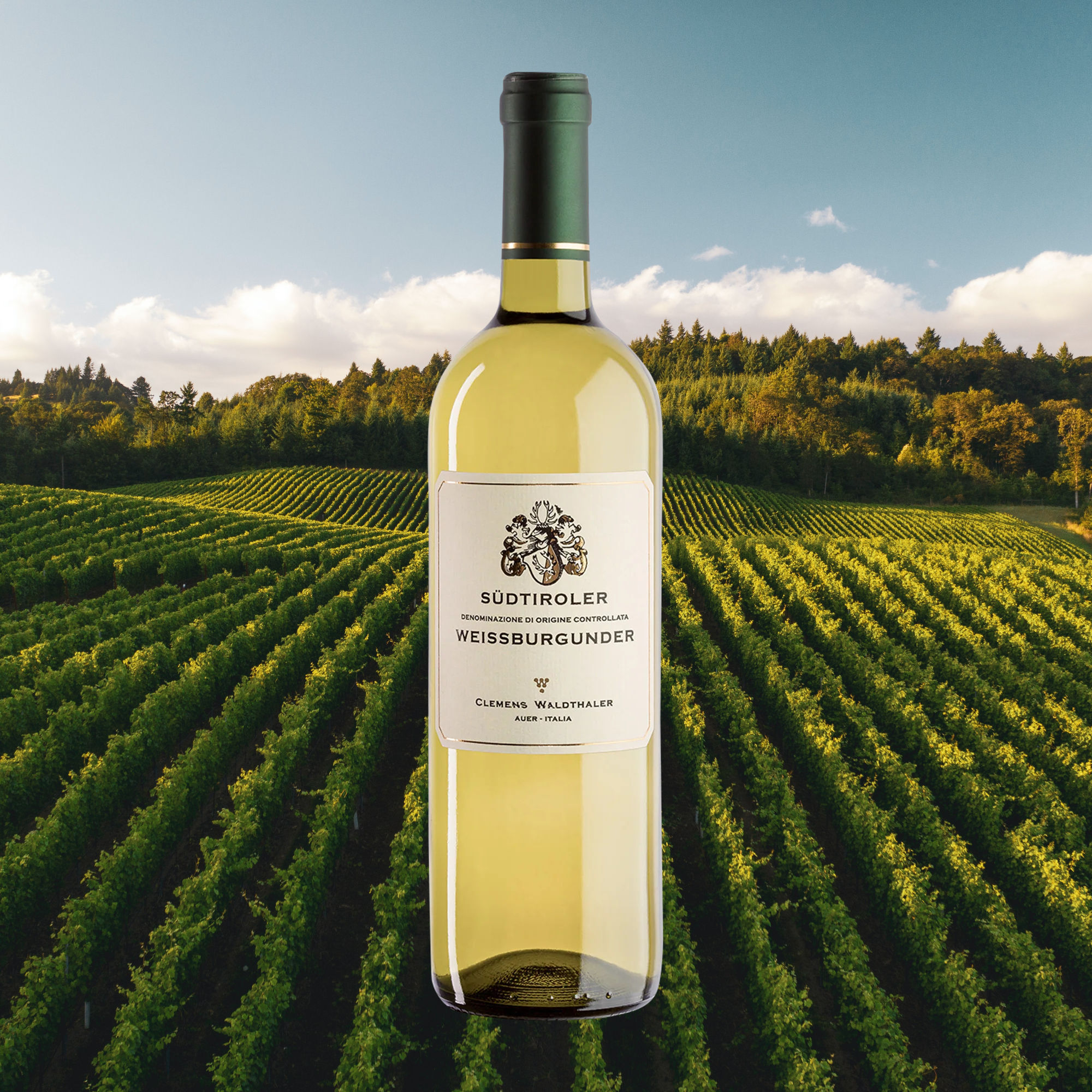 Weissburgunder 2022 DOC - Weingut Waldthaler - 75cl