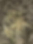 528367330_1322897319843764_2064254108722243785_n.jpg
