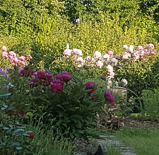 thumbnail_20190607_194015.jpg