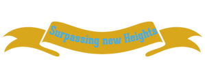 Let us know your needs and we execute them