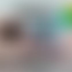 שעות פתיחת הגלריה במהלך חג הסוכות