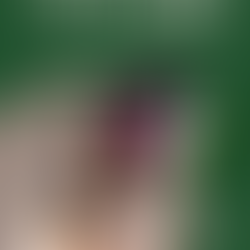 פתח לנו שער