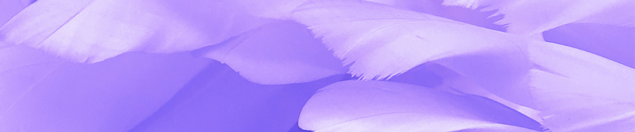 angel wing closeup.png