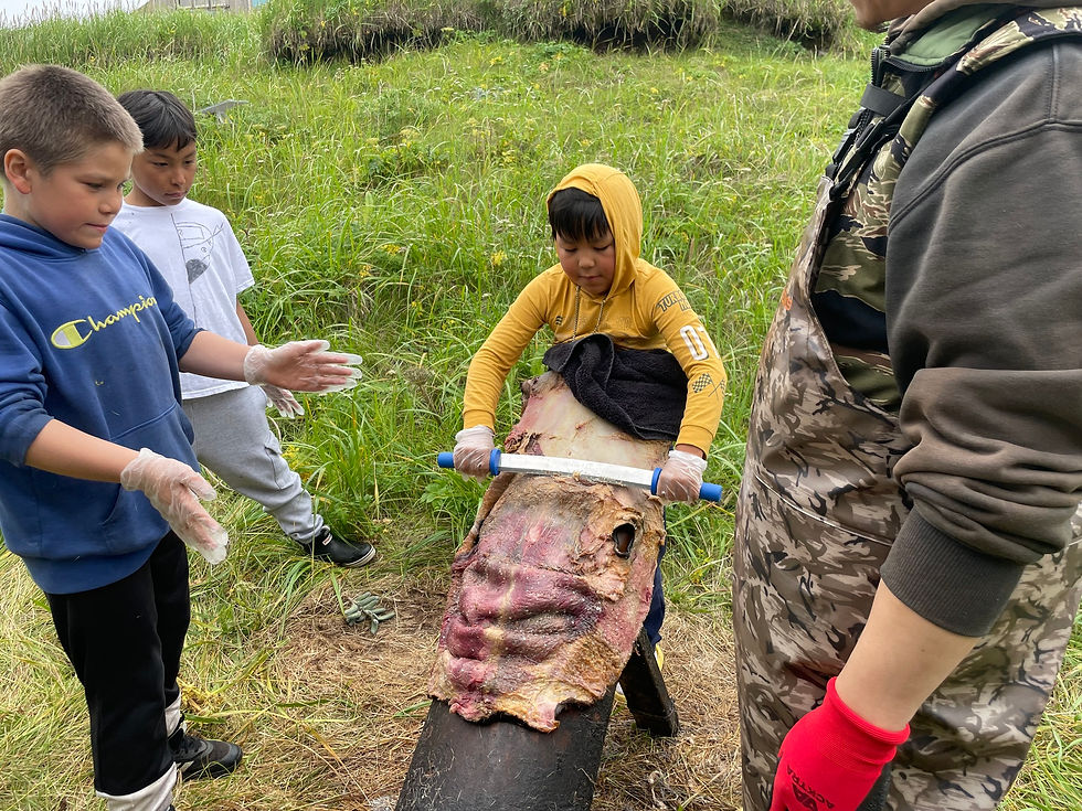 Kalani is skinning a seal and showing Khova and Avery how to do it, before both of them get a turn. All three boys got an impressive amount of seal fat off all by themselves!