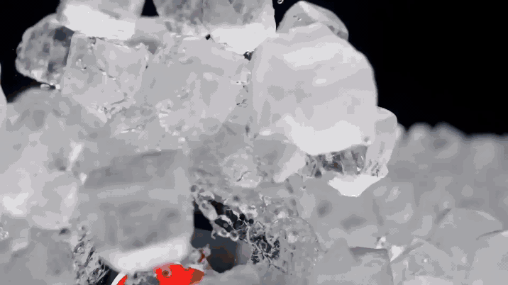 20250421_PEPSI_SIZZLE_HW_V18_1.gif