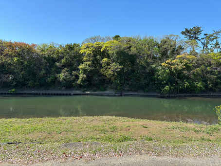 第40回「横浜市旭区ってどんな街？——カラーが根ざす地域の紹介」
