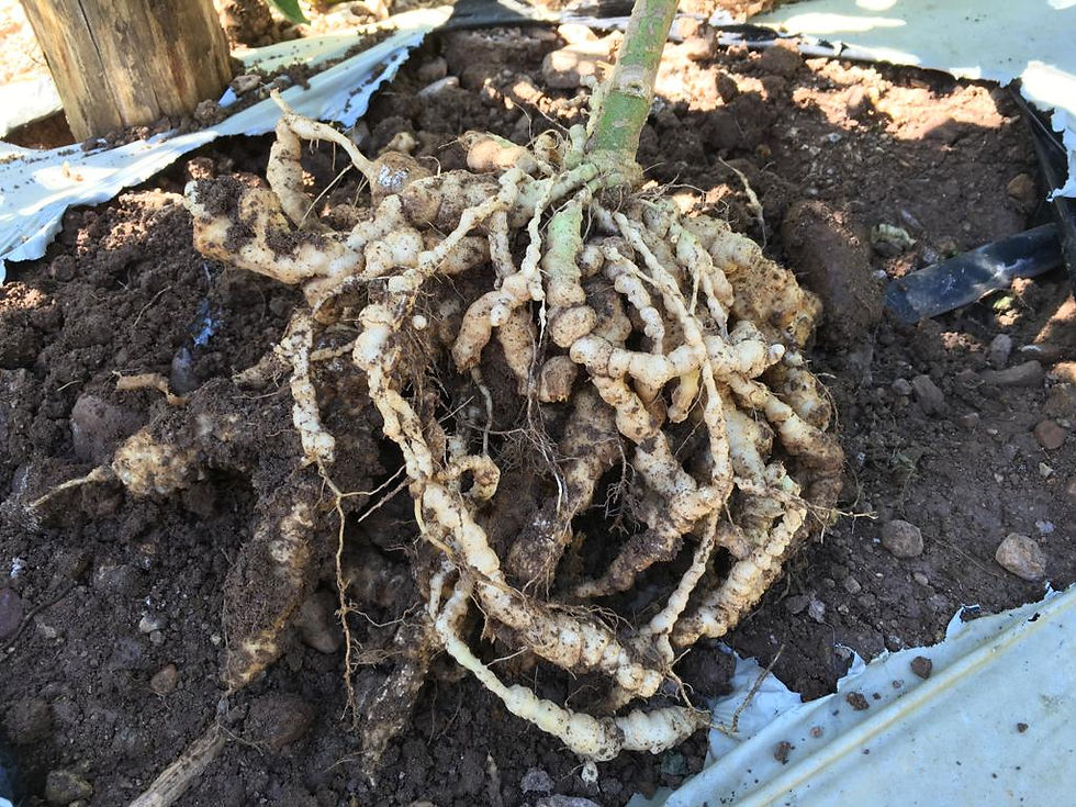 29721a80-4bdd-476d-a9c5-d371c2e0019a