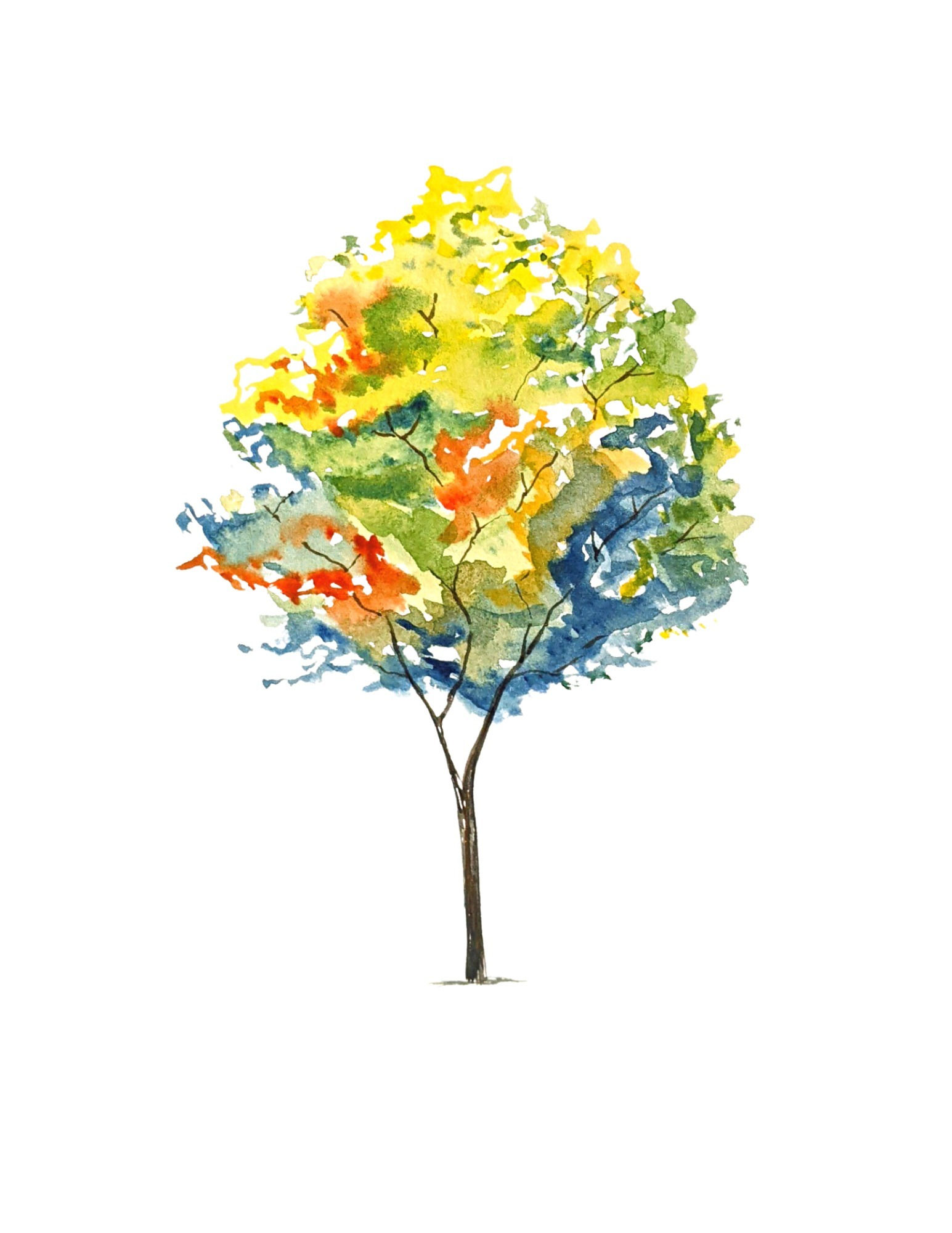 Tree Watercolor