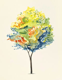 Tree Series