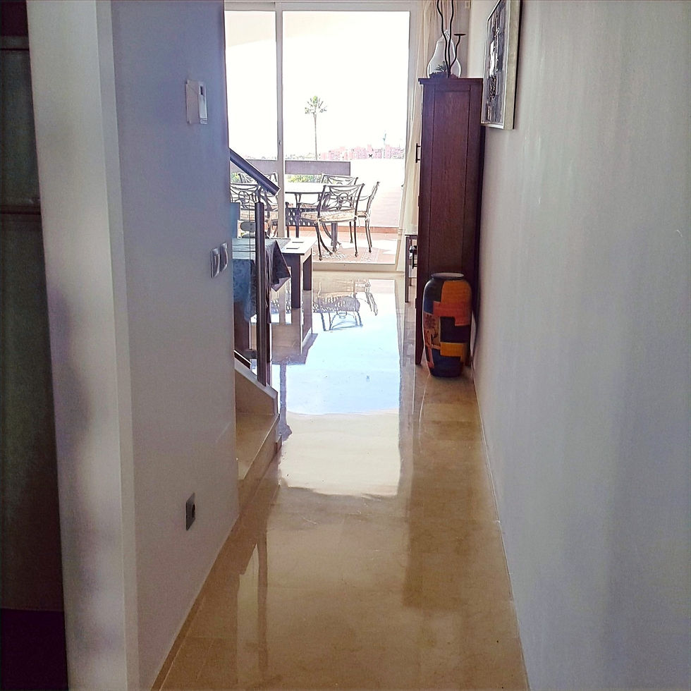 Hall into Lounge/Dining Room