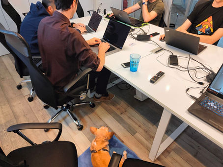 A Pet-Friendly Coworking Space, That Welcomes Your Furry Friends!