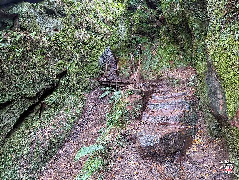 Le chemin menant au Devil's Pulpit - Comment trouver le Devil's Pulpit dans le Finnich Glen en Ecosse ? Découvrez comment aller au Finnich Glen et visiter le Devil's Pulpit, lieux de tournage de la série Outlander en Ecosse. | A Kiss From UK