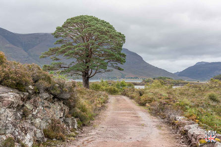 La péninsule d’Aird Mhòr dans le Torridon – Que voir dans le Torridon en Ecosse ? Préparez-vous à visiter le Torridon en découvrant les plus beaux endroits de cette région des Highlands en Ecosse | A Kiss from UK, le blog du voyage en Ecosse.