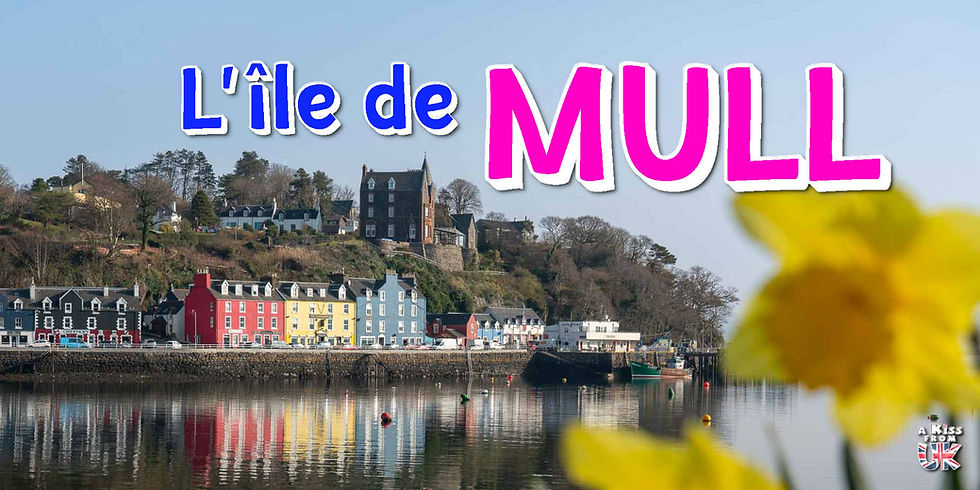 Que voir et que faire sur l’île de Mull en Ecosse ? Visiter l’île de Mull : le guide voyage complet | A Kiss From UK