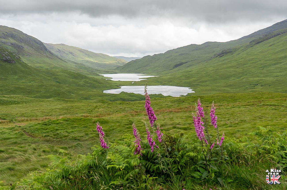 Le Three Lochs Viewpoint sur la route de Craignure à Fionnphort - Que faire sur l’île de Mull en Ecosse ? Visiter l’île de Mull et découvrez les plus beaux endroits à voir sur cette île des Hébrides Intérieures | A Kiss From UK