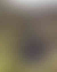 Mulagljufur Canyon - Les lieux à voir autour de Höfn, au sud-est de l’Islande - 3 semaines en Islande en septembre : itinéraire, conseils, budget | A Kiss From UK