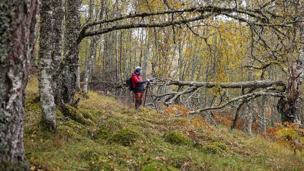 Une journée dans le Glen Affric avec le photographe Nick Hanson | A Kiss From UK
