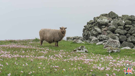 Sur la marche vers Dore Holm dans les Shetland – Que voir dans les Shetland en Ecosse ? Préparez-vous à visiter les îles Shetland en découvrant les plus beaux endroits de cet archipel au nord de l’Ecosse | A Kiss from UK, le blog du voyage en Ecosse.
