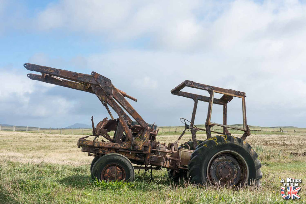 Balranald Nature Reserve - Visiter North Uist dans les Hébrides Extérieures en Ecosse : les lieux à voir, les choses à faire. | A Kiss from UK, le blog du voyage en Ecosse.