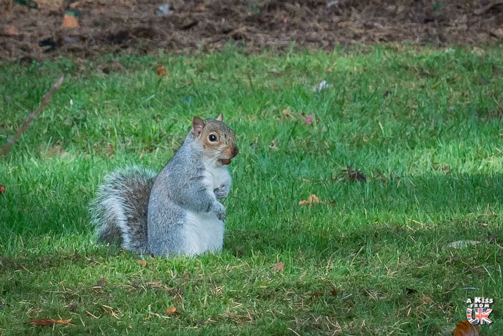 Royal Botanic Garden à Edimbourg - Visiter Edimbourg : Découvrez les endroits à voir et les choses à faire à Edimbourg en Ecosse | A Kiss From UK