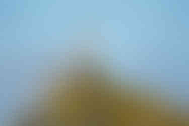 L'île de May - Où voir le macareux moine en Ecosse ? – Découvrez les meilleurs endroits pour observer des macareux moines en Ecosse | A Kiss From UK