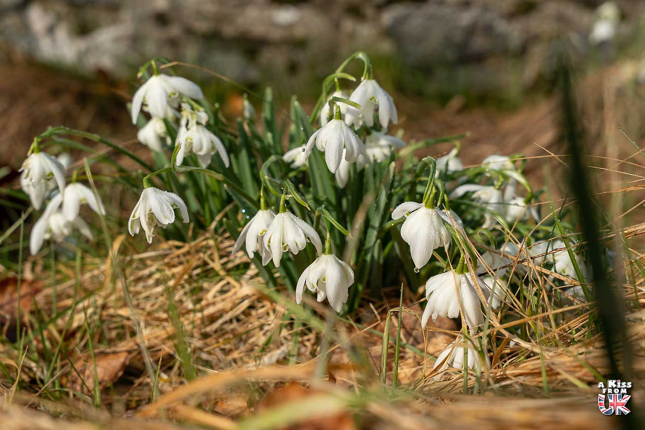 Le Loch Vaa - Jour 4 du mini road trip dans les Highlands : les Cairngorms - 5 jours en Ecosse en hiver | A Kiss From UK