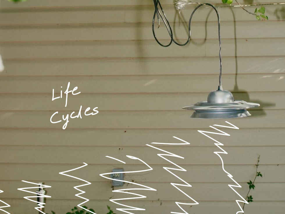 Life Cycles: ULO Pendant