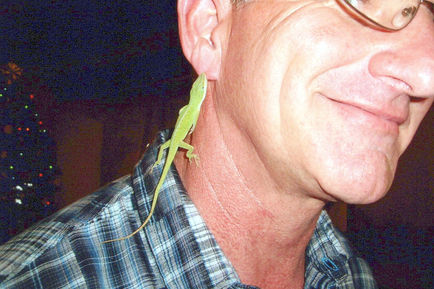 2015_December_0015_a