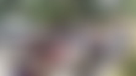 Jour 6 : Samedi 24 juillet