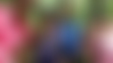 Jour 4 : Jeudi 22 juillet