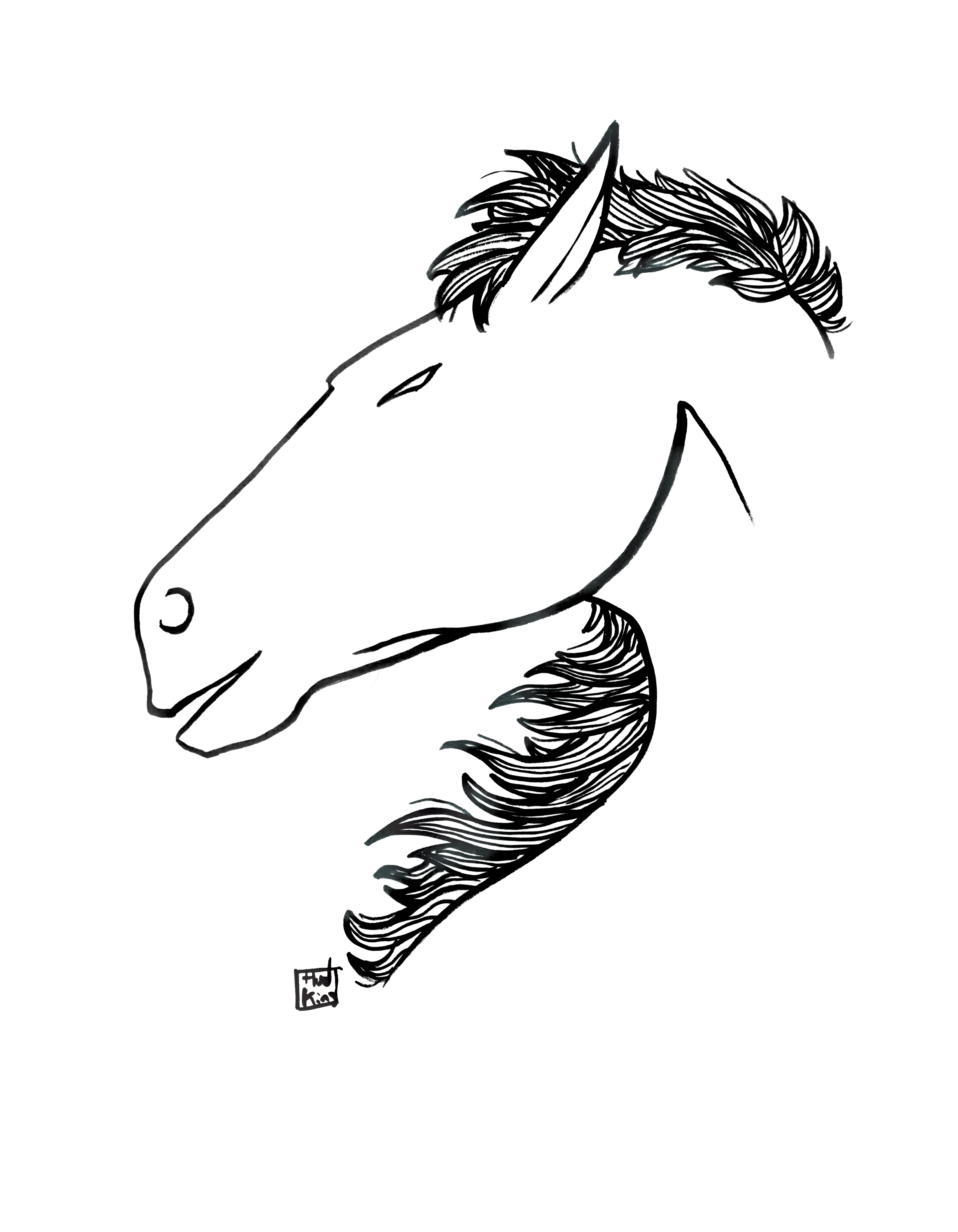 Horse