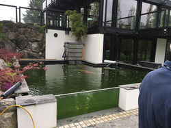 WhatsApp Image 2019-04-24 at 12.04.41 PM