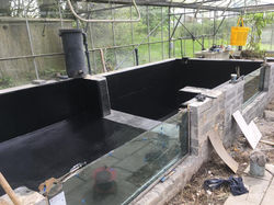 WhatsApp Image 2019-04-26 at 2.07.16 PM(