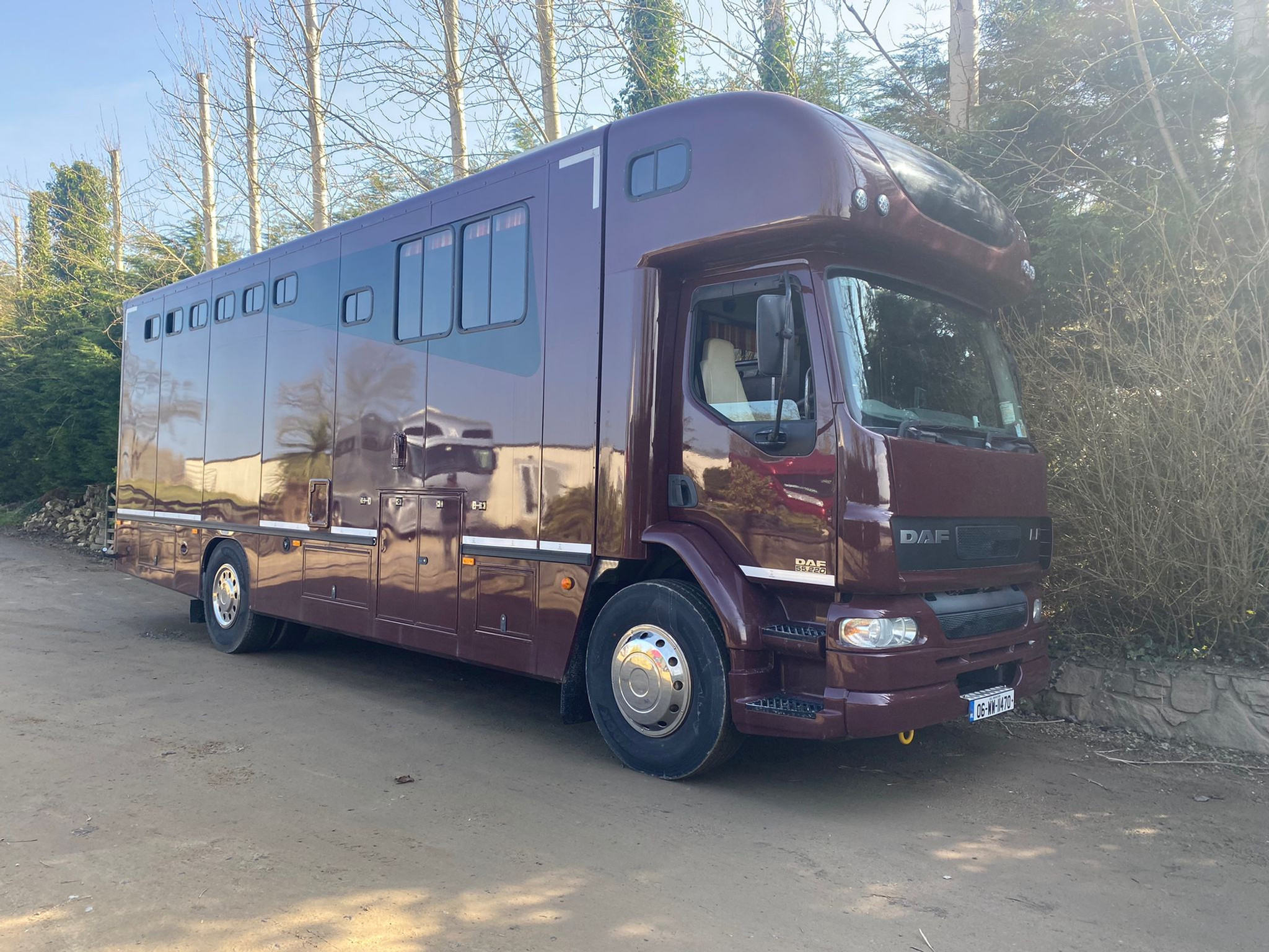 2006 Daf LF 55.220 6 horse truck
