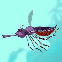 mosquito-atck.jpg