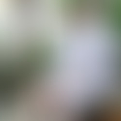 Wellness Isn’t a Trend—It’s Your Heritage