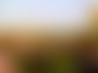 Scopa Italian Roots: A Venice Favorite for Celebrations, Pasta, and Chef Antonia Lofaso’s Heartfelt Cooking