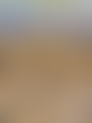 Day Retreats Near Miami: Real Wellness Escapes Without the Hotel Stay