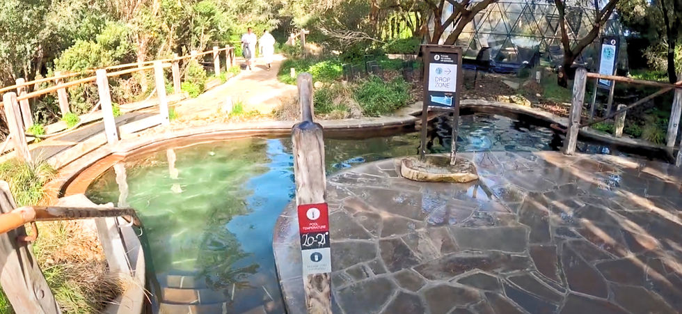 Thermal pool at Peninsula Thermal Spa near Melbourne
